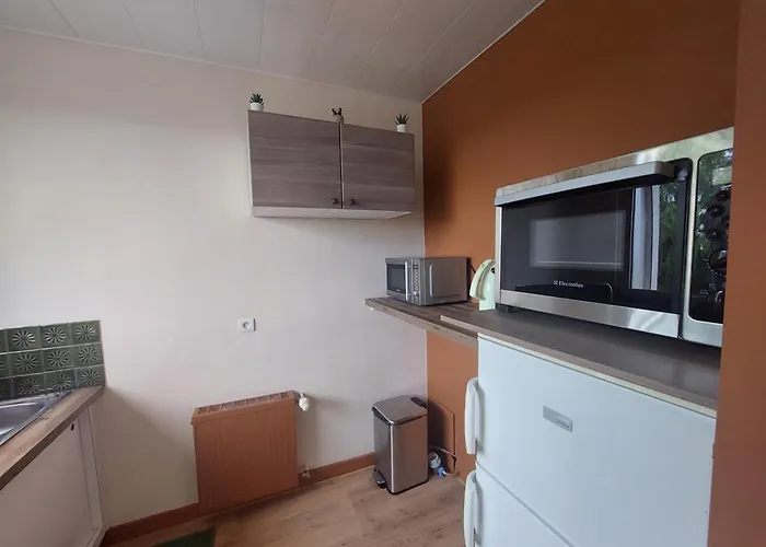 Appartement Theme Jungle