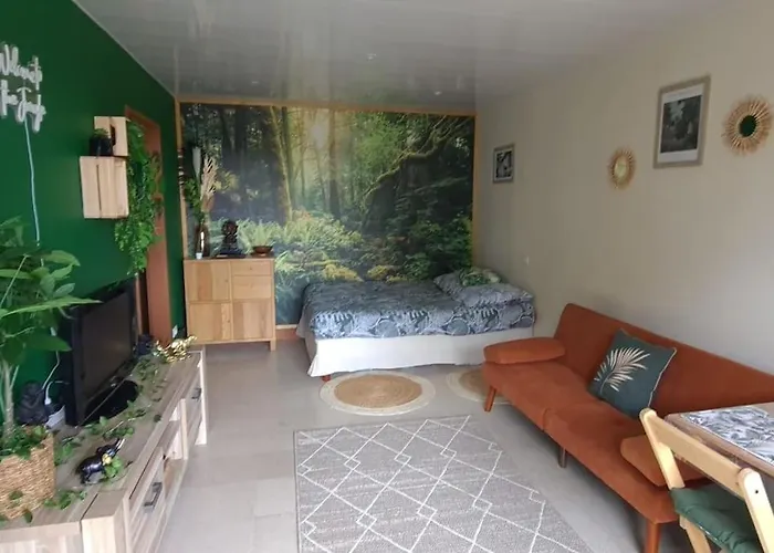 Appartement Theme Jungle